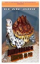 Diamondback Terrapins as Pet