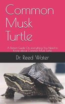 Common Musk Turtle