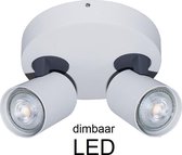 Artdelight - Plafondlamp Vivaro 2L Rond - Wit - 2x LED 4,9W 2700K - IP20 - Dimbaar > spots | spotjes | spotjes plafondlamp | opbouwspot led | spots verlichting led | plafonniere led wit | led