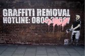 BANKSY Graffiti  Removal Hotline Canvas Print