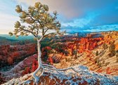 Puzzel 1000 stukjes-Winter sunrise
