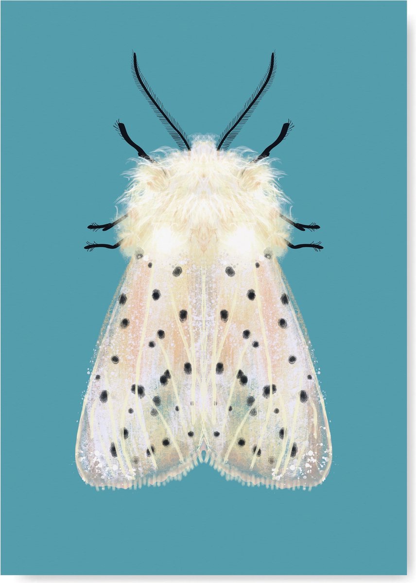 Kunst Poster - Dieren - Witte mot met zwarte stippen - A3 Formaat - Kunst aan de muur - Wanddecoratie - Woonaccessoire - Decoratie - Relatiegeschenk - Babykamer Poster- Kinderkamer Kunst van Natuurlijk Angelart