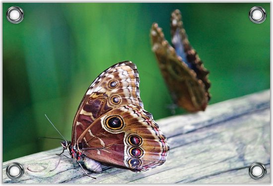 Tuinposter –Twee Vlinders op een Houten Stam– 60x40 Foto op Tuinposter (wanddecoratie voor buiten en binnen)