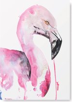 Kunst Poster - Vogels - Flamingo - A4 Formaat - Kunst aan de muur
