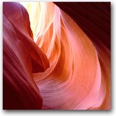 Dibond 80 x 80 cm Nature Photography.