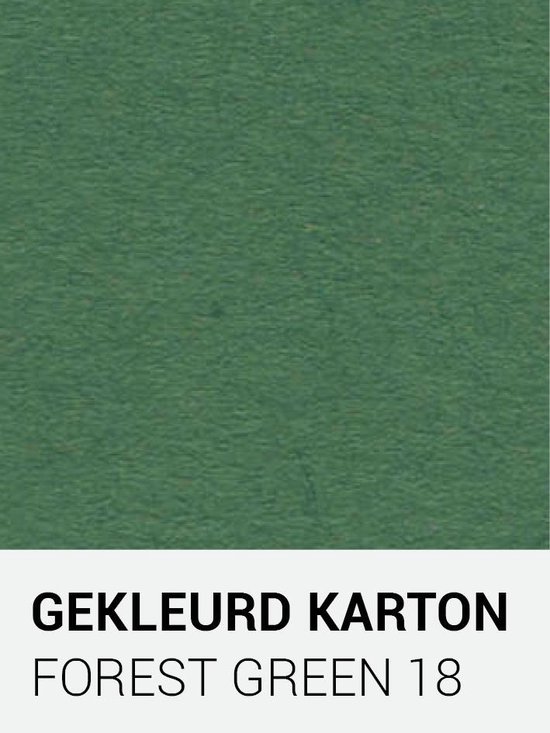 Gekleurd karton forest green 18 30,5x30,5 cm  270 gr.