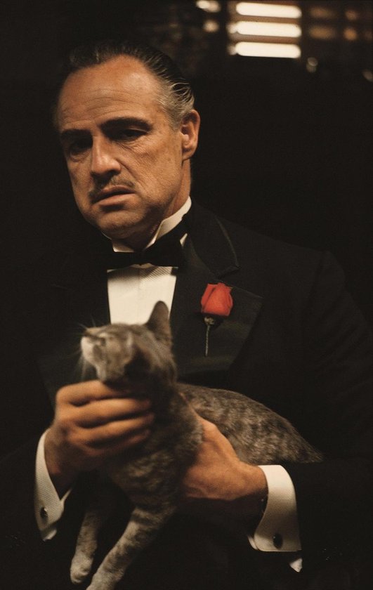 ✅ Le Godfather • Vito Corleone avec toile de Cat 90x60 cm • Impression d'image sur peinture sur toile ( Décoration murale salon / chambre / cuisine / bureau / bar / restaurant) / le Godfather Peintures sur toile / affiche
