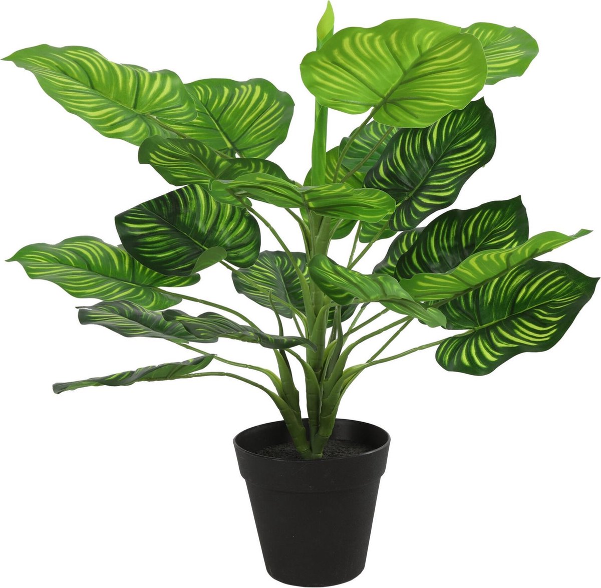 Countryfield Kunstplant Maranta L 40 X 45 Cm Zijde Groen/zwart