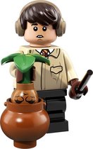 LEGO Minifigures Wizarding World - Neville Longbottom 6/22 - 71022