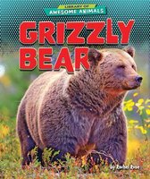 Grizzly Bear