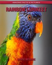 Rainbow Lorikeet