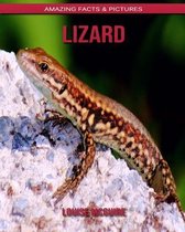 Lizard