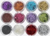 12x Nagel Glitters - Acryl potjes - 3cm