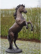 Steigerend paard 183 cm ruw
