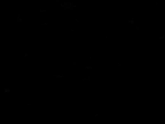 Koninkrijk In De Zee-Terugkeer Van De Koning (Dvd) | Dvd's | bol