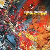 Michael McDermott - What In The World (CD)