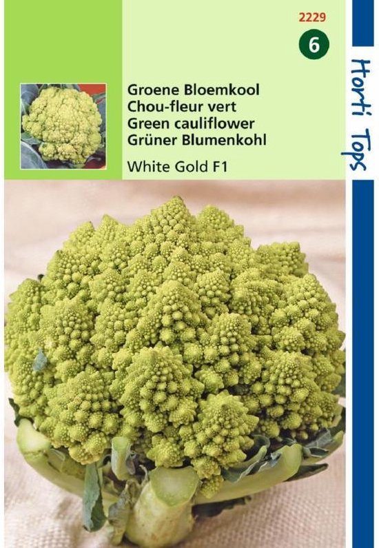 Hortitops Groene bloemkool White Gold F1