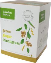 Groene Thee met Citroengras en Gember -  Green Tea Lemongrass Ginger - Garden Series Box  (48 piramidebuiltjes)