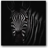 MN Collections - Schilderij - Animal Photography. - Zwart En Wit - 50 X 50 Cm