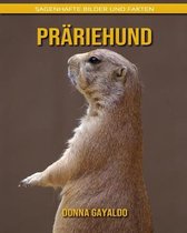 Prariehund