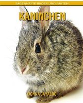 Kaninchen