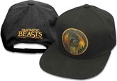 Fantastic Beasts And Where To Find Them Snapback pet United States Zwart