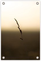 Tuinposter “Grasspriet” - “80x120cm” - poster tuin
