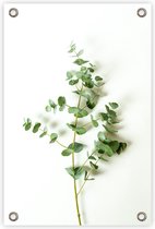 Tuinposter “Eucalyptus” - “60x90cm” - poster tuin