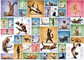 Puzzel 1000 stukjes-Yoga Cats