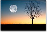 MN Collections - Schilderij - Landscape Photography. - Zwart, Wit, Blauw En Oranje - 75 X 50 Cm