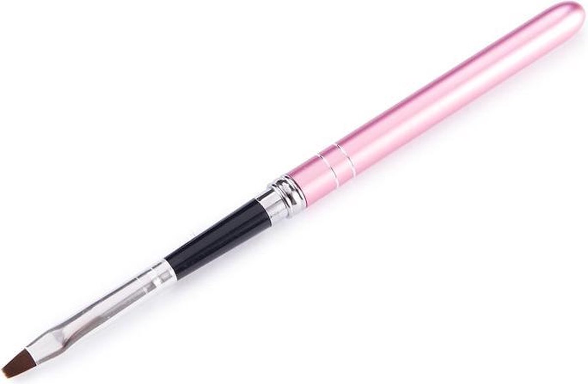 Cosmetics Zone Gelborstel Afsluitbaar Roze Zilver nummer 6 #21