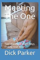 Meeting The One