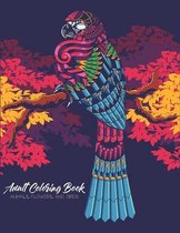 Adult Coloring Book