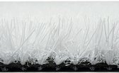Kunstgras Tapijt RAINBOW White Rice - 4x5M - 25mm|artificial grass|gazon artificiel|....|tuin|balkon|terras|kinderkamer|speelkamer|grastapijt|grasmat