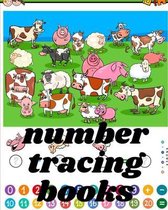 number tracing books