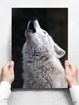 Wandbord: Huilende Witte Wolf - 30 x 42 cm