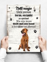 Wandbord hond: Tosa - 30 x 42 cm