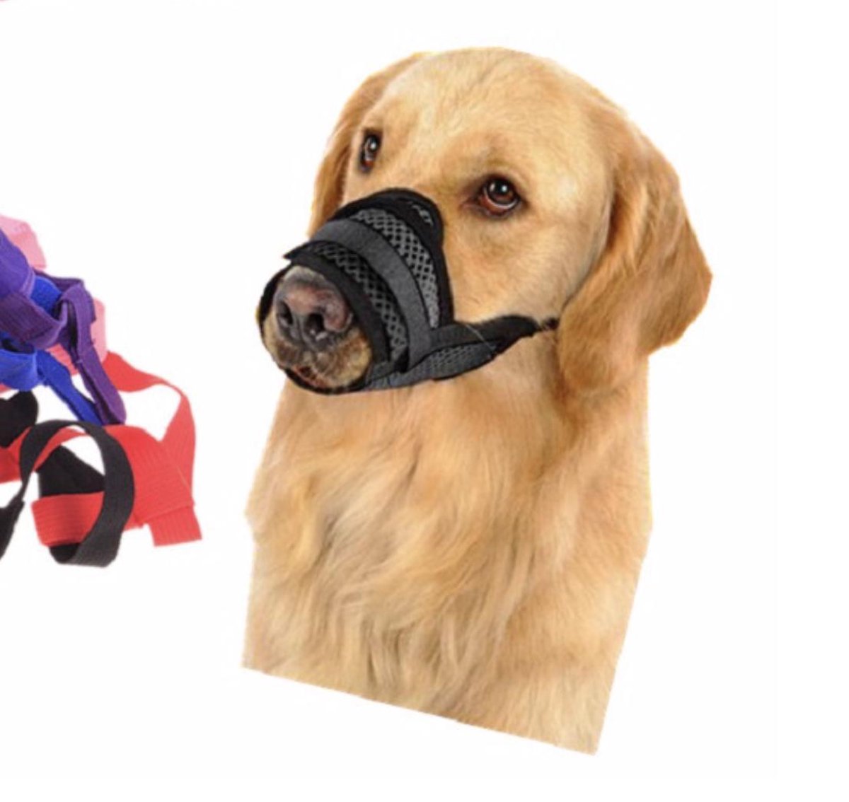 HEELE Muilkorf voor honden, nylon muilkorf, verstelbaar, ademend, kleine middelgrote en grote hond, anti-blaffen en bijten, Zwart, L
