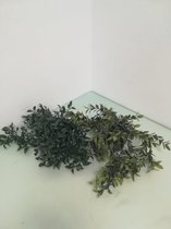 Twee leuke hang kunstplanten - met zwart potje