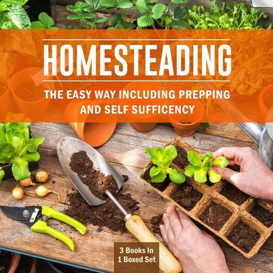 Homesteading the Easy Way Including Prepping and Self Suffic ... - cover