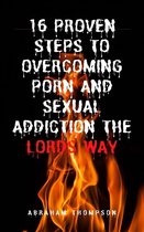 16 Proven Steps To Overcoming Porn And Sexual Addiction The Lords Way