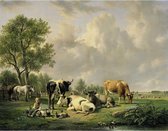 Canvas Schilderij Weide met vee