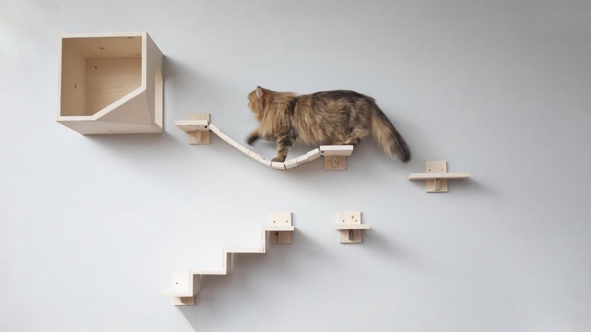 Schrijf op Patch bestuurder Plankjes voor de kat - kattenplankjes - muurplankjes - klimmuur kat - katten  klimmuur... | bol.com