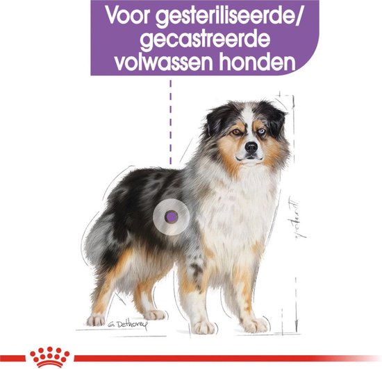 royal canin medium sterilised 12 kg