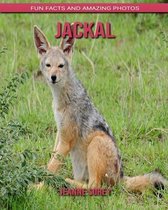 Jackal