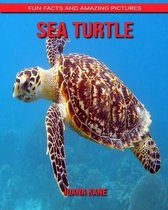 Sea turtle