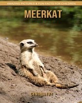 Meerkat