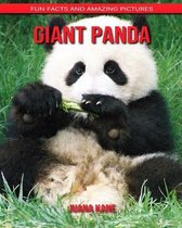 Giant Panda