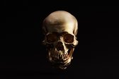 ? Skulls • Gold Skull Jaw Bone Dark Canvas 150x100 cm • Foto print op Canvas schilderij ( Wanddecoratie woonkamer / slaapkamer / keuken / kantoor / bar / restaurant ) / Skulls / Sc