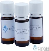 Palo Santo olie - Heilig Hout - Bursera graveolens - Waking Herbs